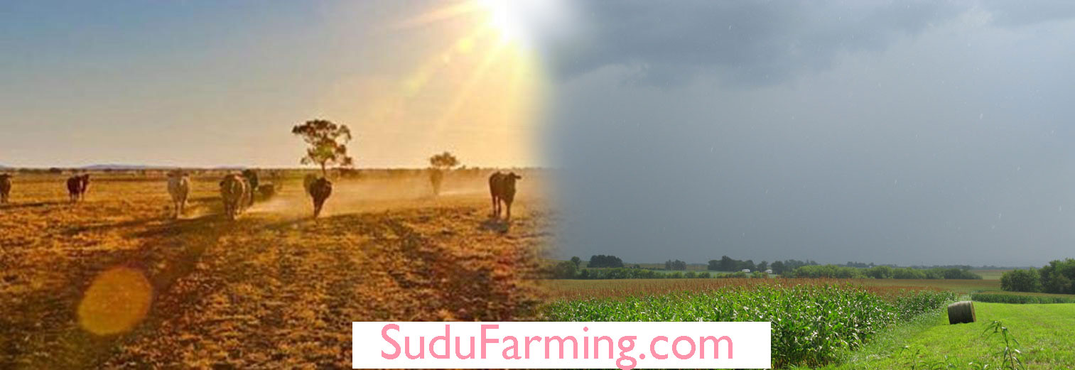 Role of weather in agriculture