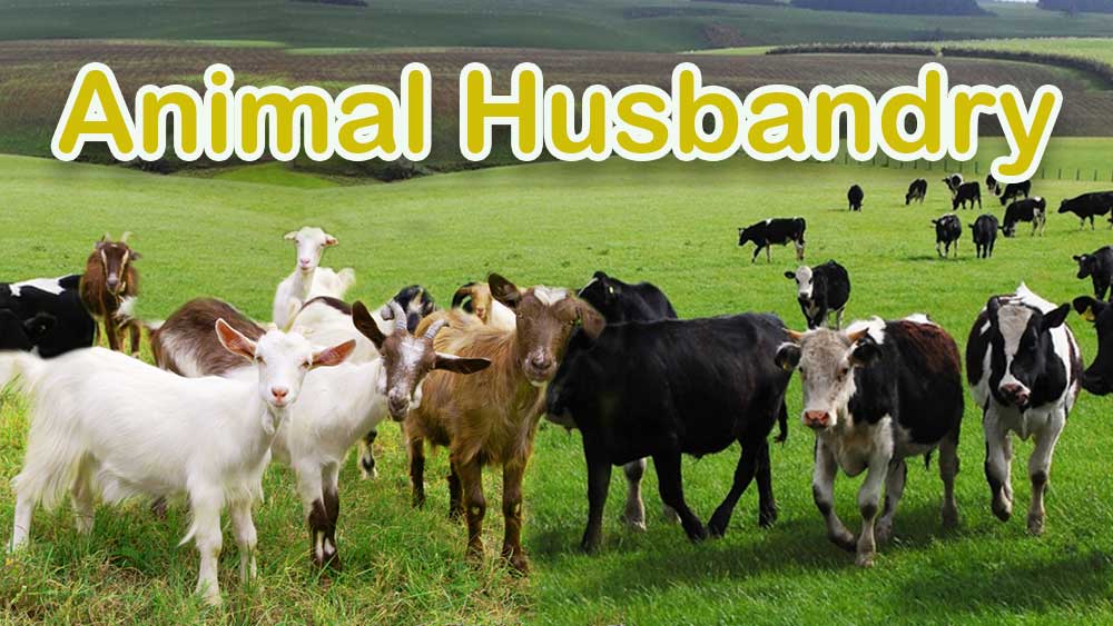 Animal husbandry, Animal rearing, types of husbandry