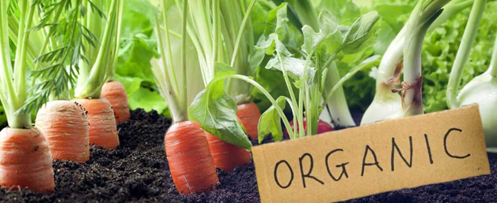 what is organic farming