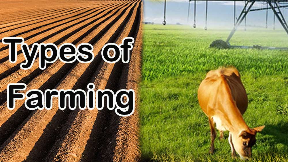 Types of Farming