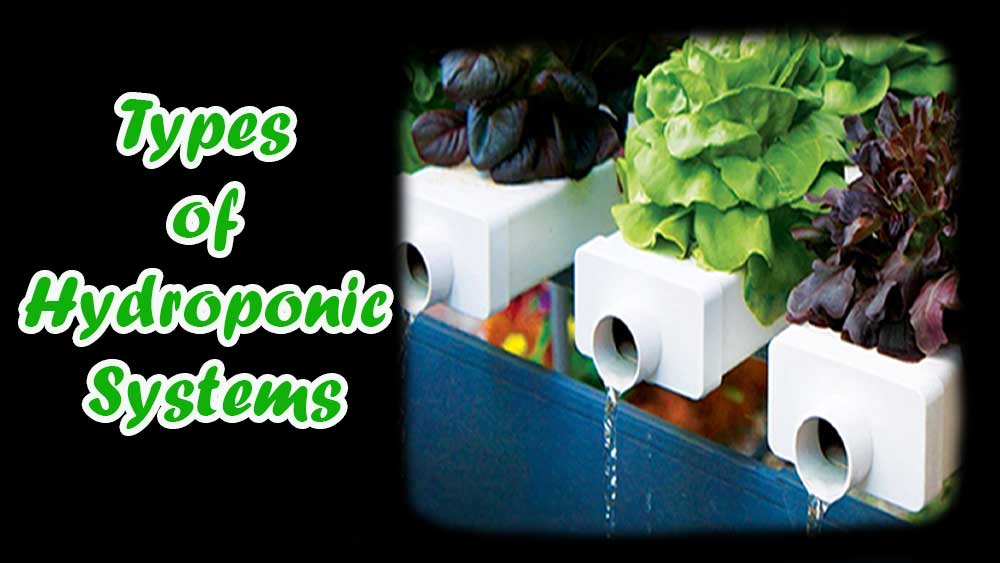 Types of hydroponic systems