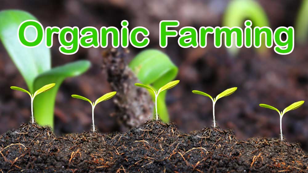 Benefits Of Organic Farming Modern, Farmers Organic Compost
