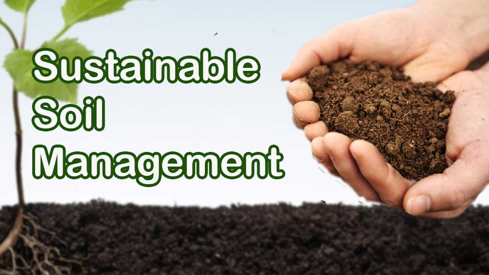 Sustainable Soil Management