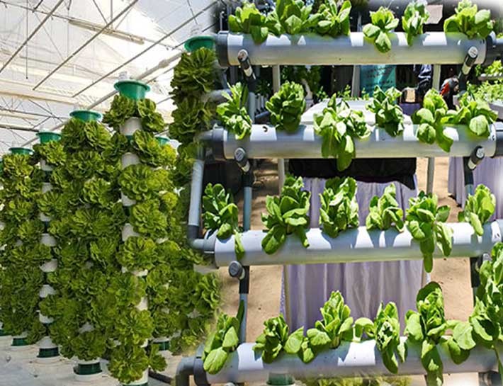 Types of Hydroponics Systems