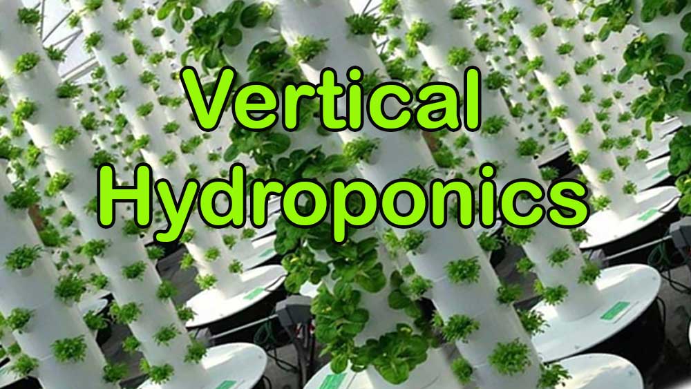 Vertical Hydroponics